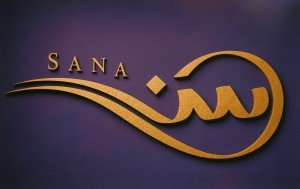 sana logo